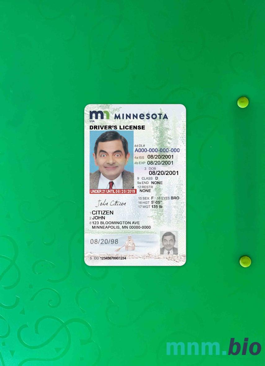 USA Minnesota prawo jazdy poniżej 21 lat photolook, w pełni edytowalny